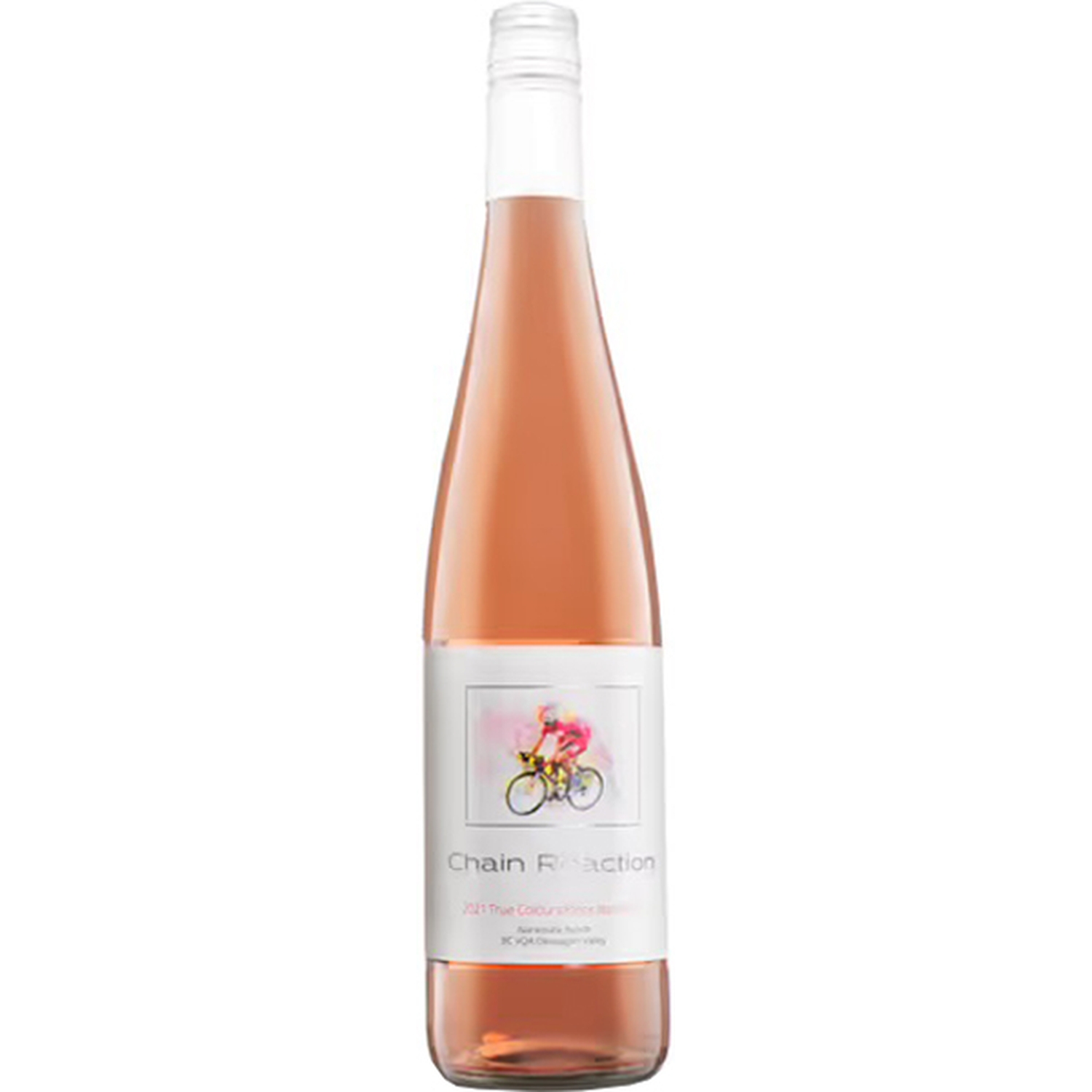 Chain Reaction True Colours Rose 2021